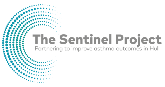 The Sentinel Project logo